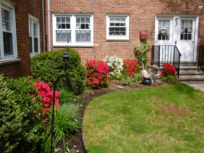 Metuchen Manor Grounds View