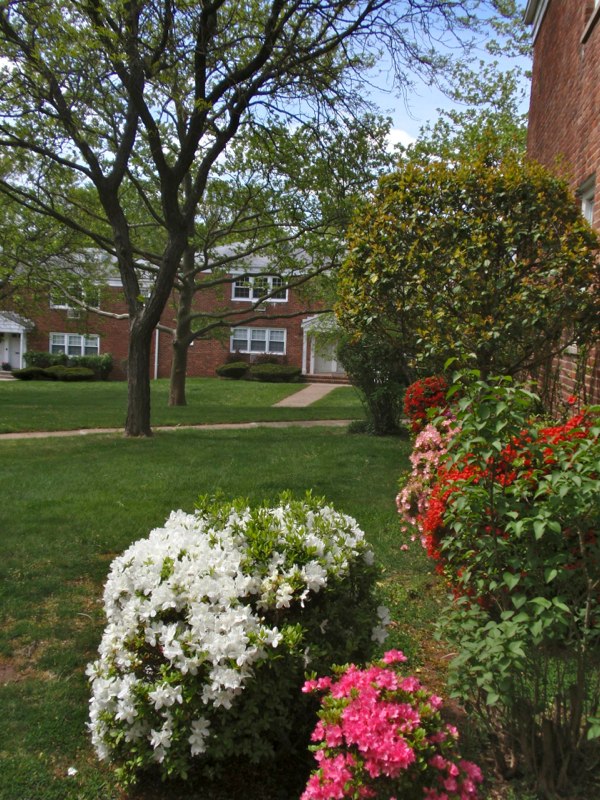 Metuchen Manor Community