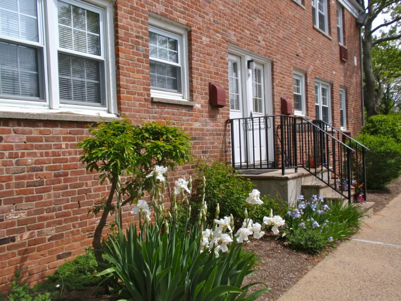 Metuchen Manor Grounds