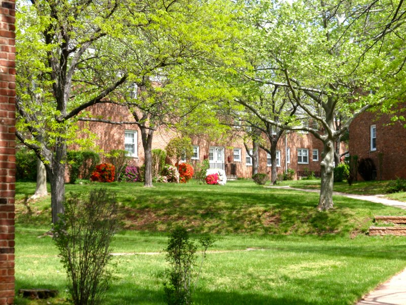 Metuchen Manor Property View